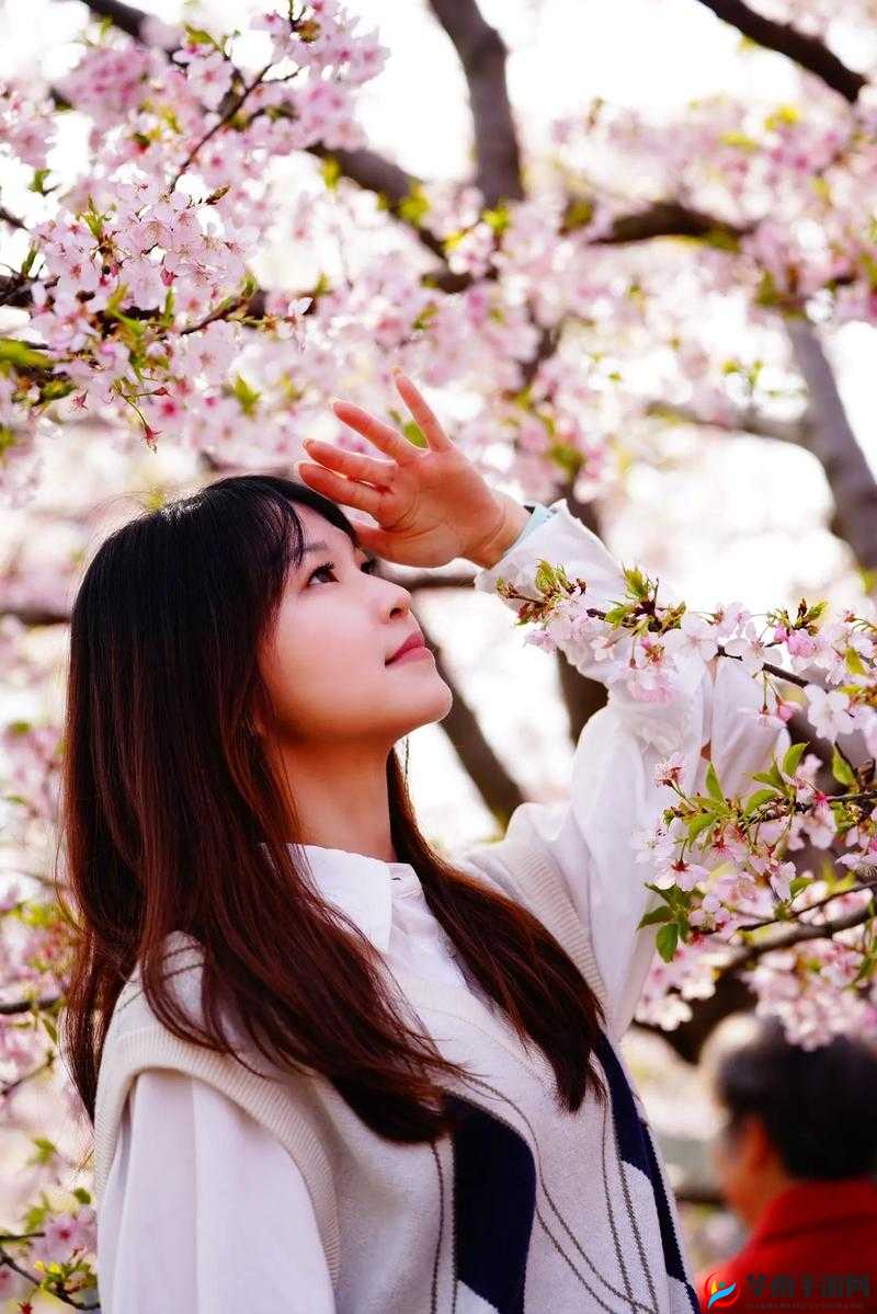 樱花爆操：极致的视觉与情感体验