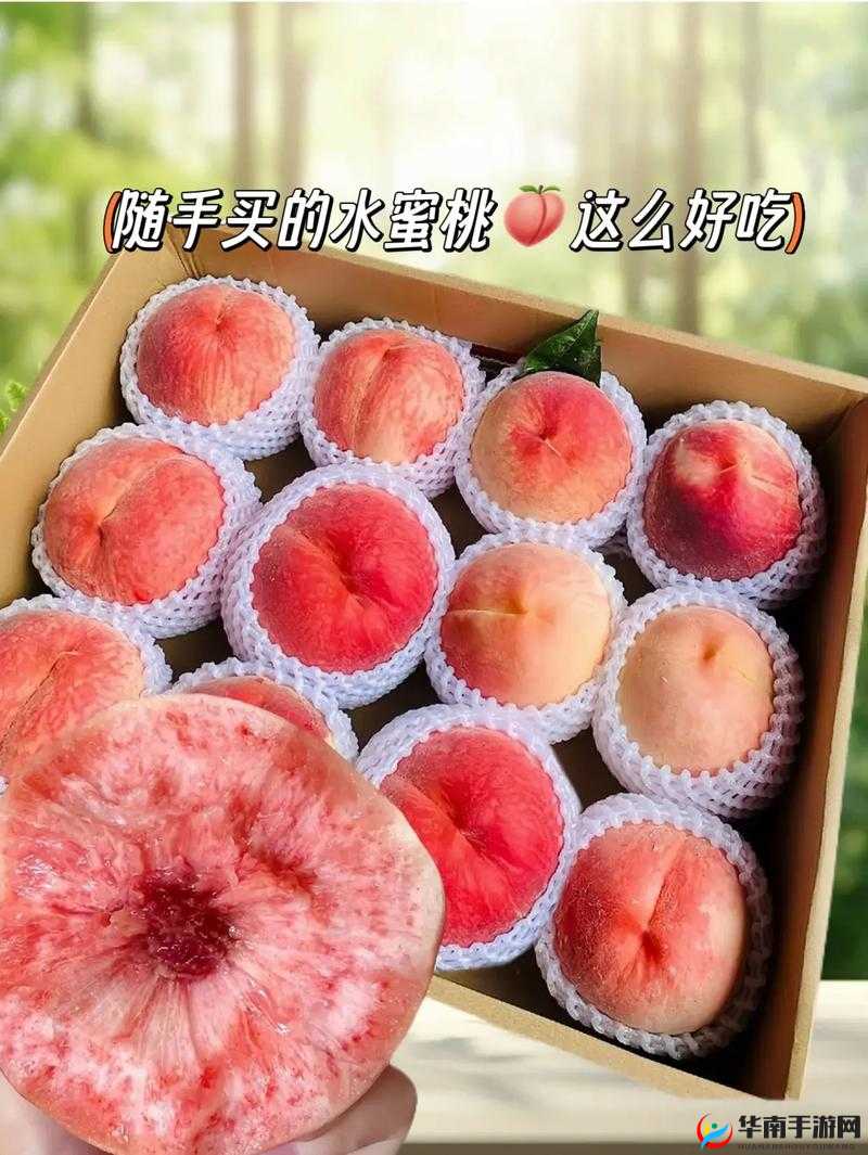 水蜜桃一品二品：品尝甜蜜的滋味