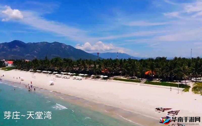 天堂传媒公司宣传片视频：展现独特魅力