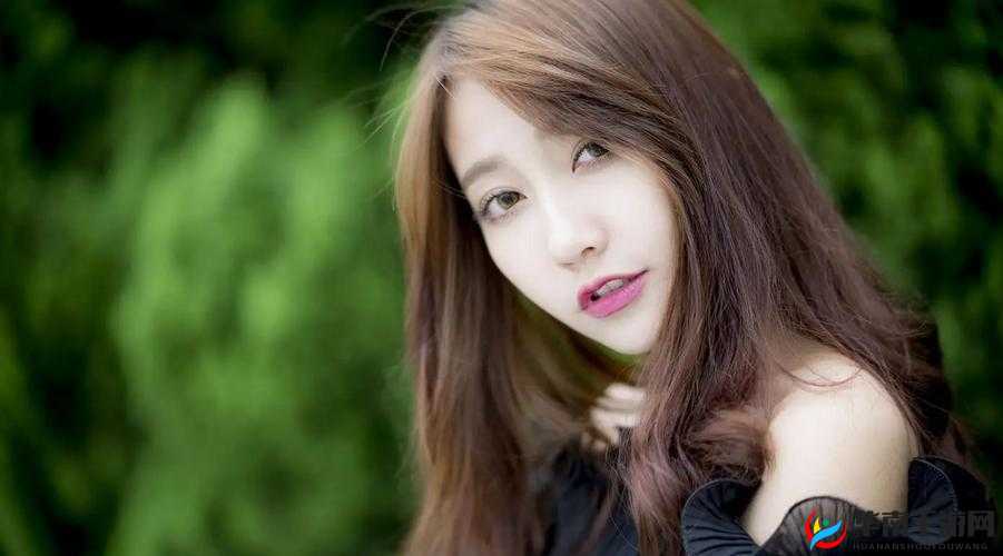 HD2中国成熟IPHONE69据说免费了：真有这好事？