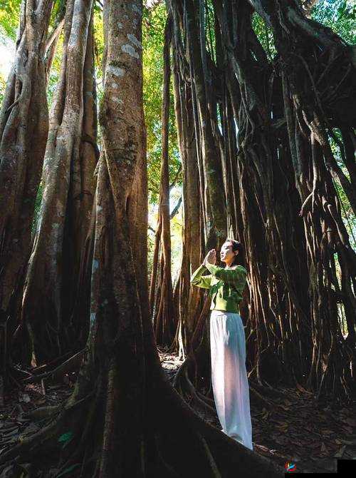 久久久东南亚：独特魅力引领新潮流