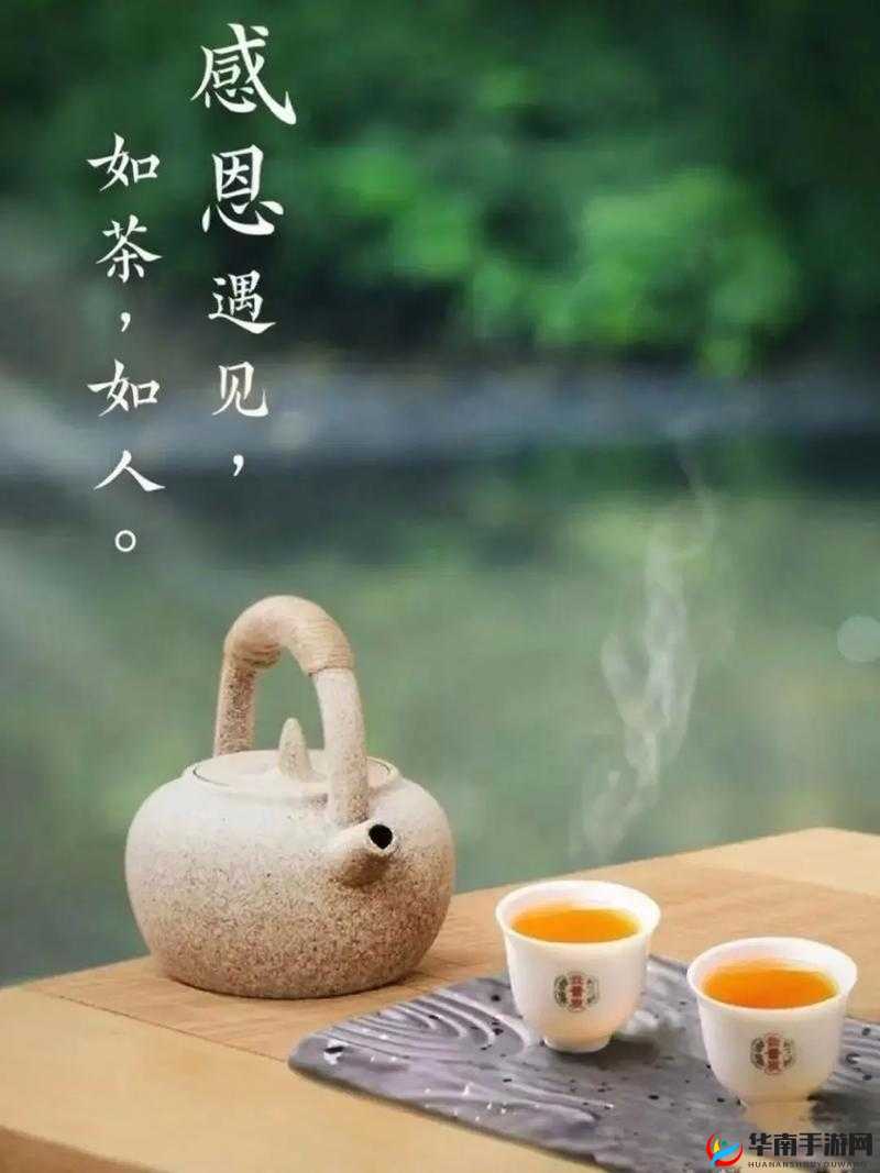 岁岁有今朝 po 茶茶好：茶韵悠长，共享美好时光