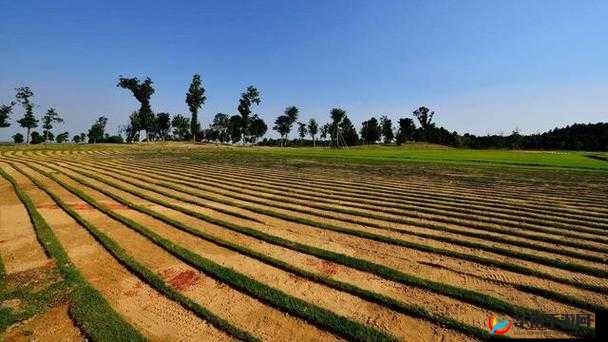 开垦母亲肥沃土地以谋发展