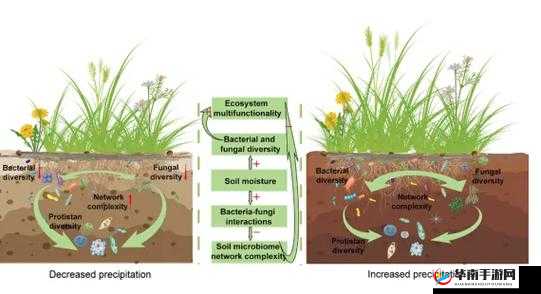 fuqer100%xxxxhd 网络文化多样性与复杂性探讨