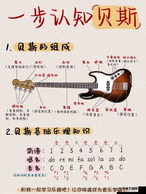 BBOX 入门 BASS：快速掌握技巧指南