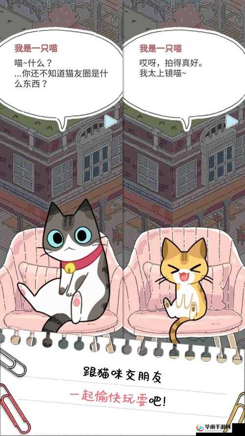 猫友圈猫咪旅行攻略:启程准备全解析