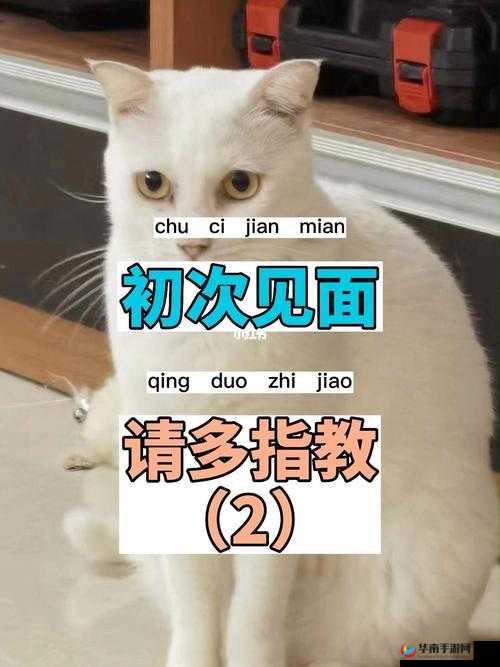 初次深交流请多指教第二话是什么：深入交流新探索