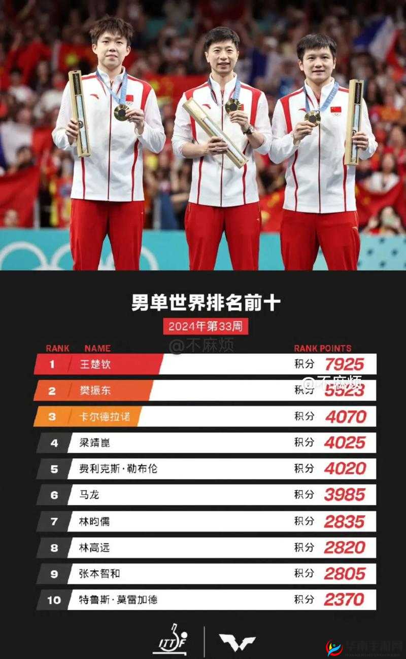 国际抖抈 2024：全新精彩之旅