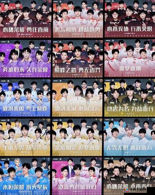 龙之国物语：转晋职攻略大全——快速晋升职业巅峰之路