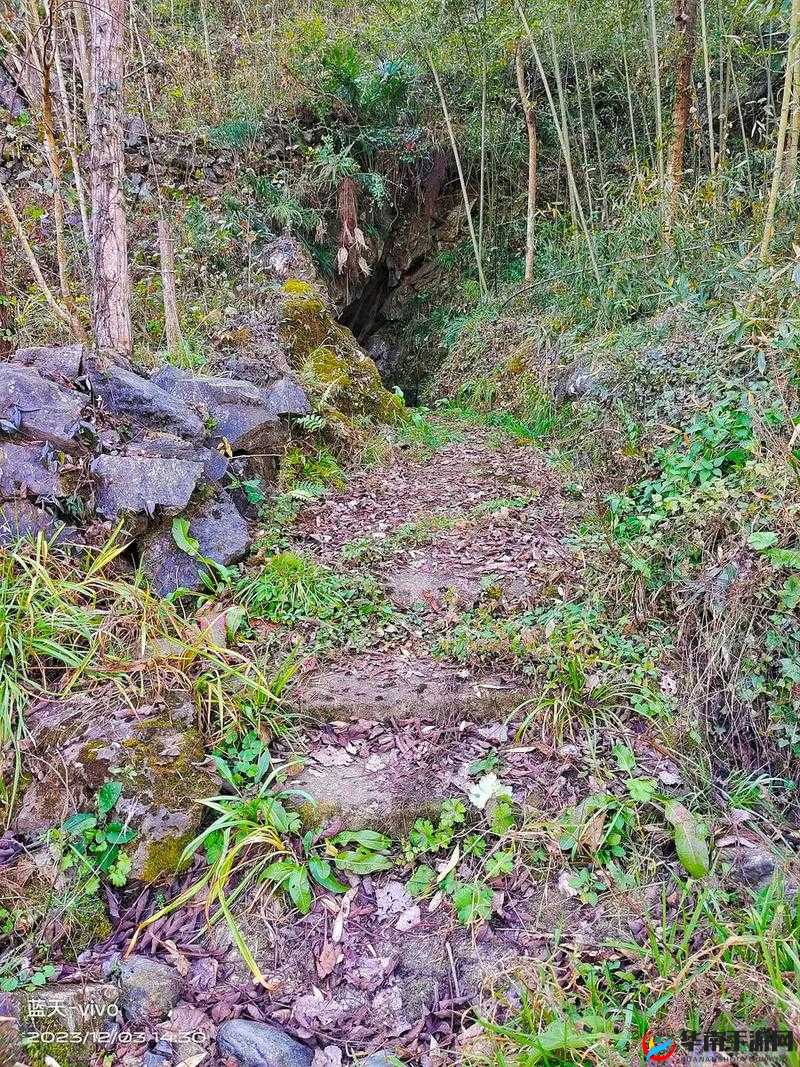 档案山村古井通关全攻略：探索神秘山村解开古井秘密之详细指南