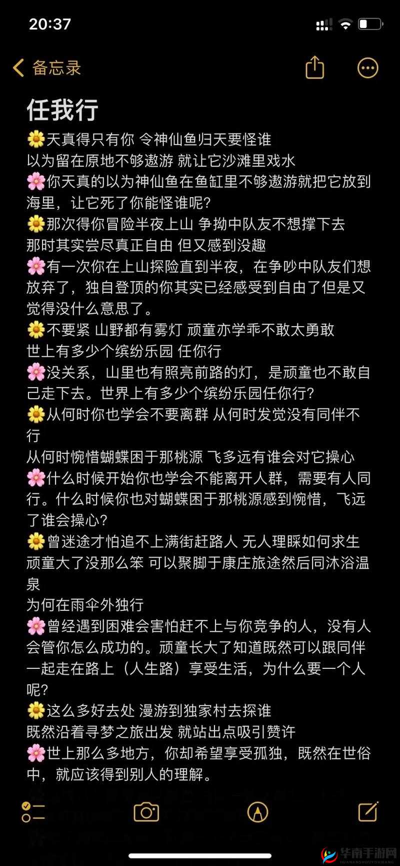 老司机带带我香蕉送给你是什么歌之解析