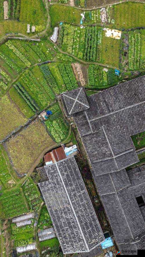 美穴淫娃：探寻神秘之美