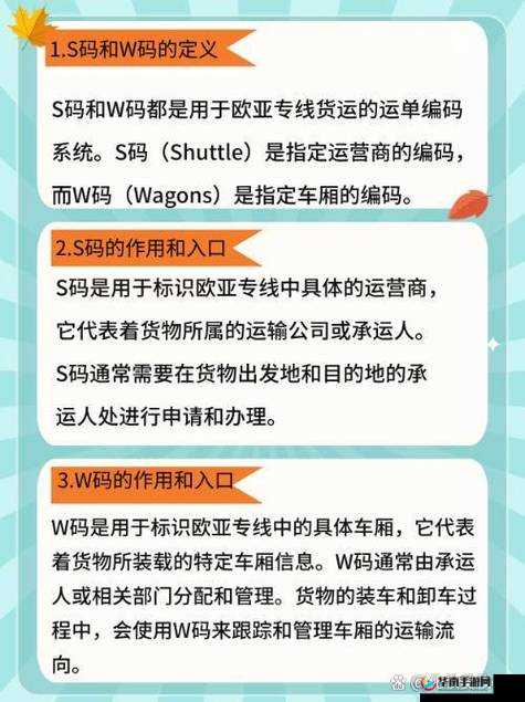 欧亚专线 S 码和 W 码入口一样吗:有何不同