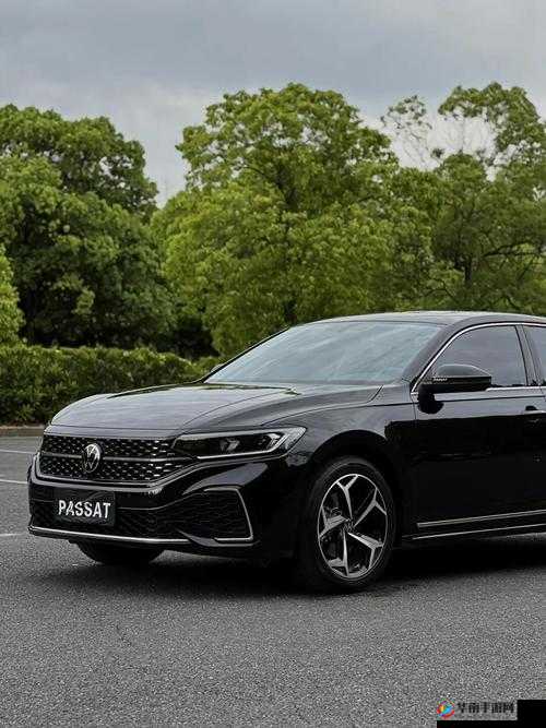 欧美性 SUV ：畅享极致驾乘体验