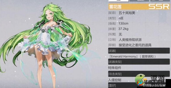 空匣人型雪莲花强度全面测评攻略：实战分析与效果评估