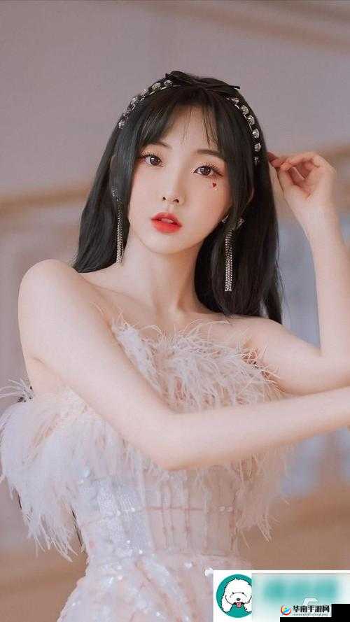 YSL 千人千色 T9T9T9T9MMD:魅力彩妆之选