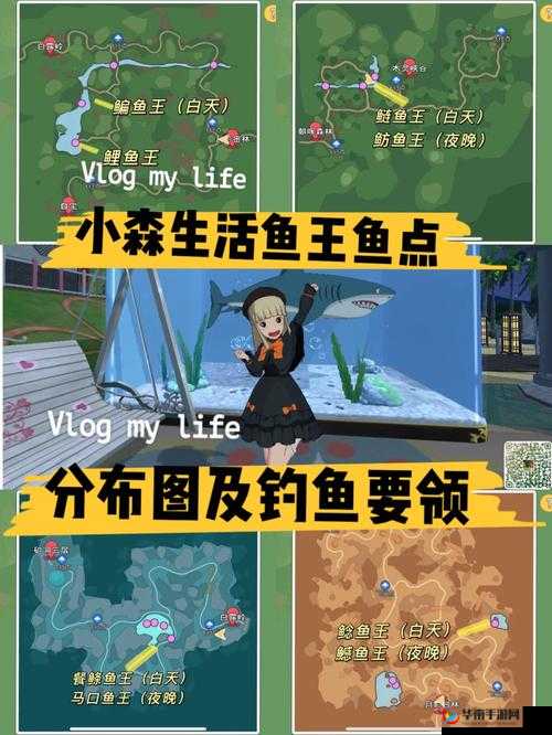 《小森生活鲤鱼王鱼饵获取攻略》
