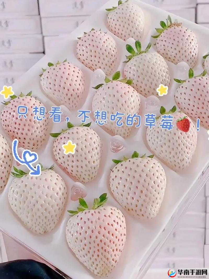 迈开腿吃草莓方法：健康生活小妙招