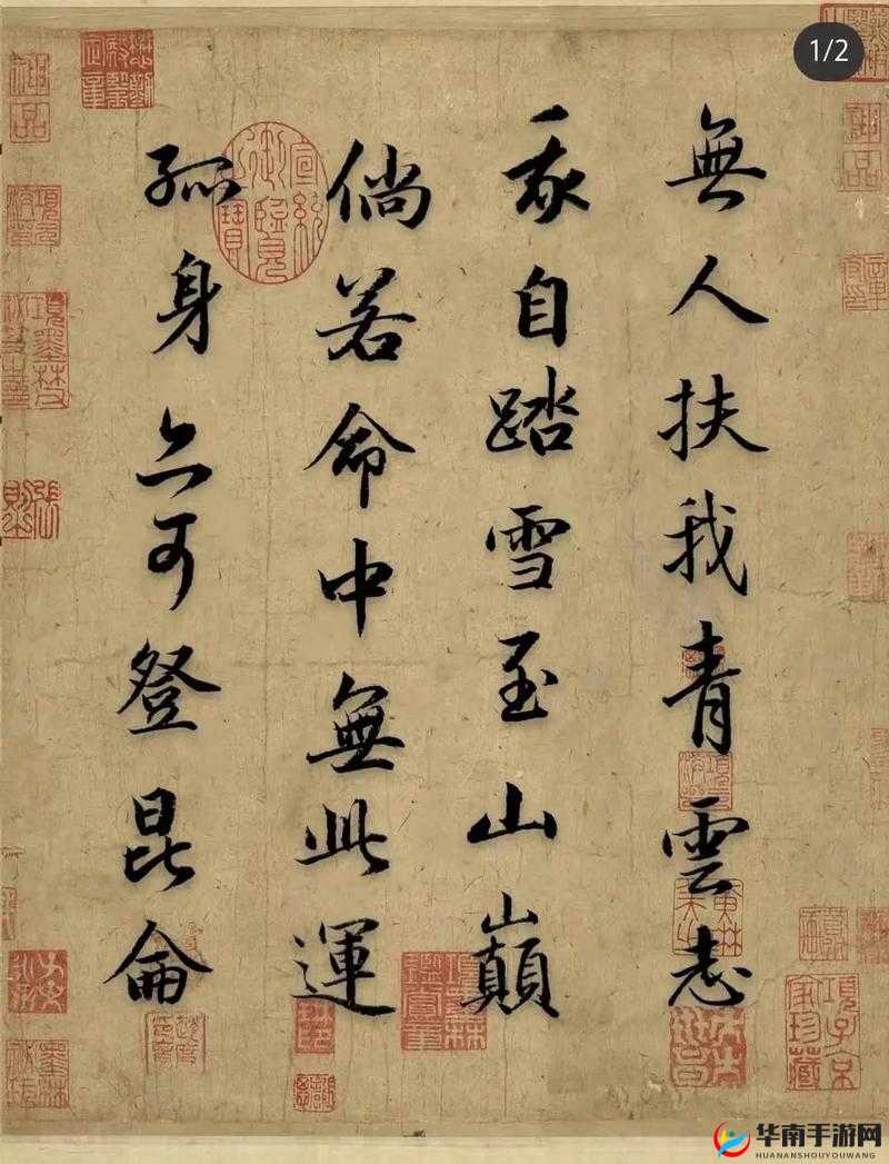 5G 罗志祥天天奭多人运 2023 龙族相关内容探讨