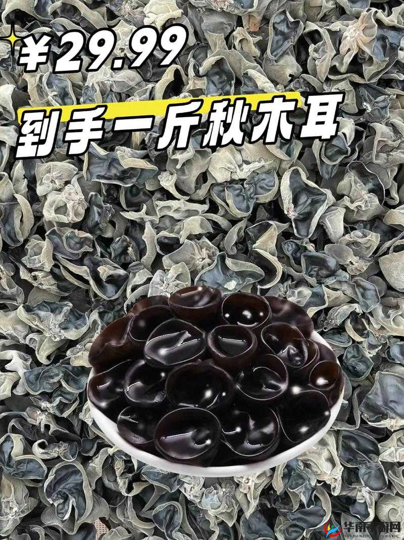 老婆的木耳能否食用呢