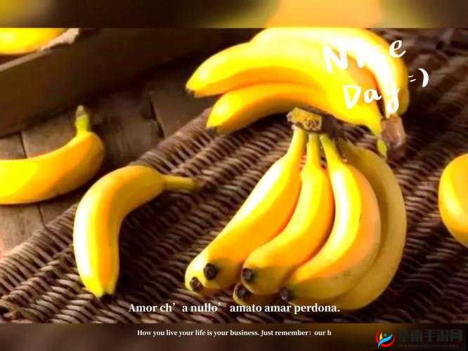 18 岁的草莓、香蕉、榴莲、丝瓜,谁是你的最爱?