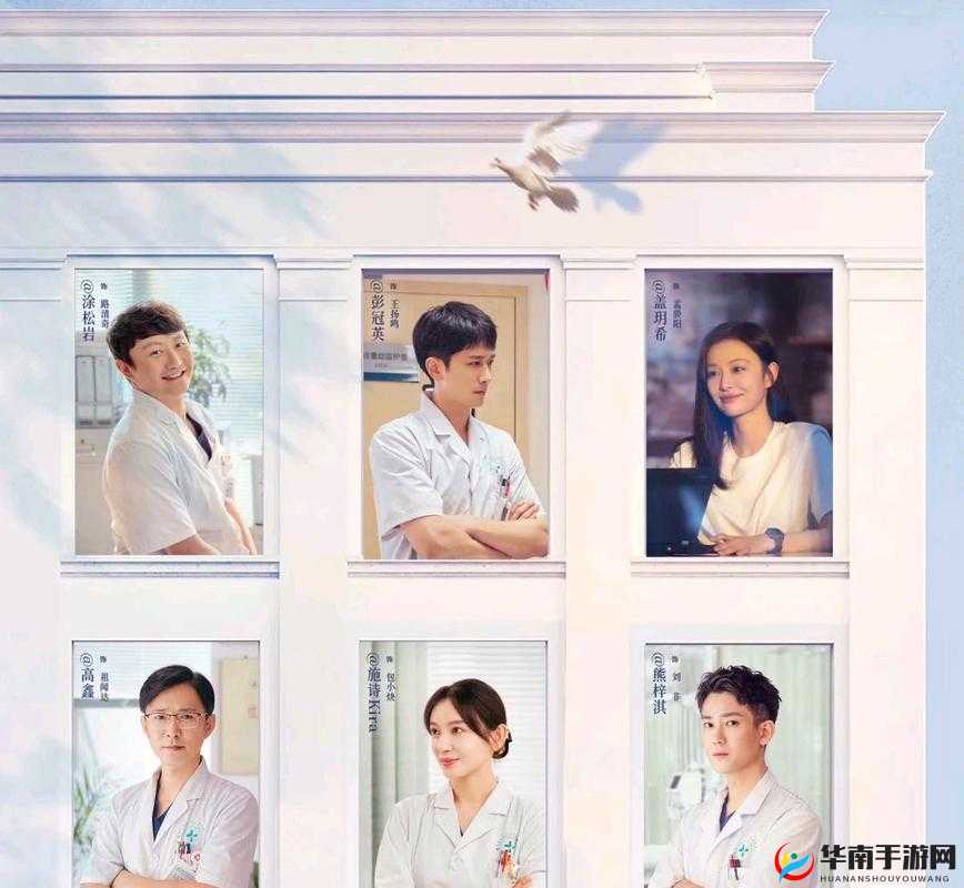 白色城堡：医疗职场的救赎之旅