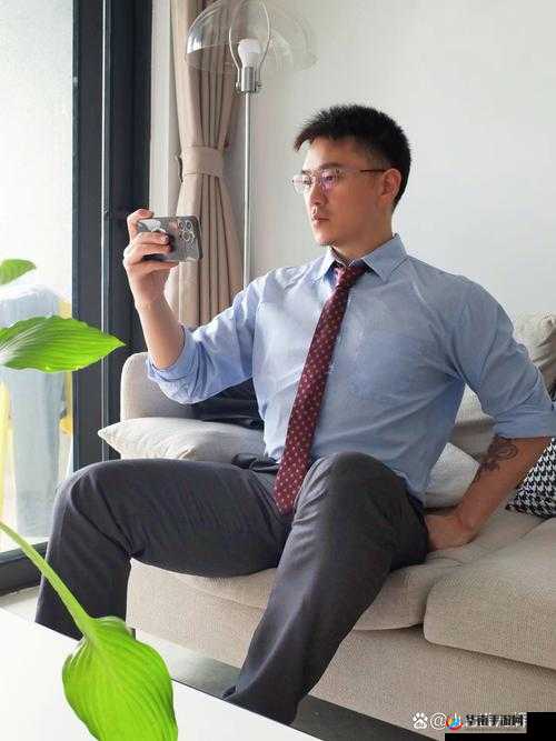 欧美办公室正装男同志:探索欲望与责任的边界