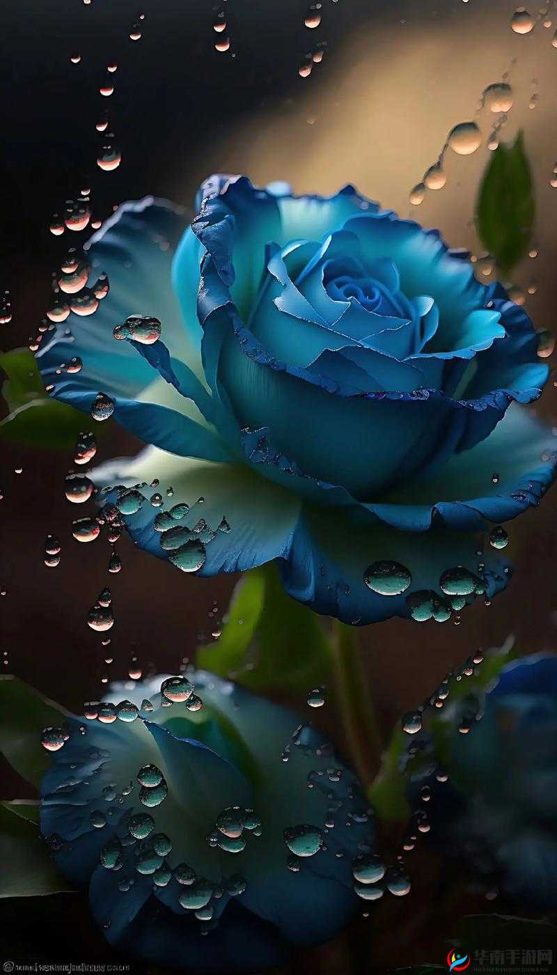 精品色哟哟大片：一场视觉盛宴