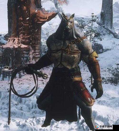 天天富翁香水与鞭子对比，哪种更优？