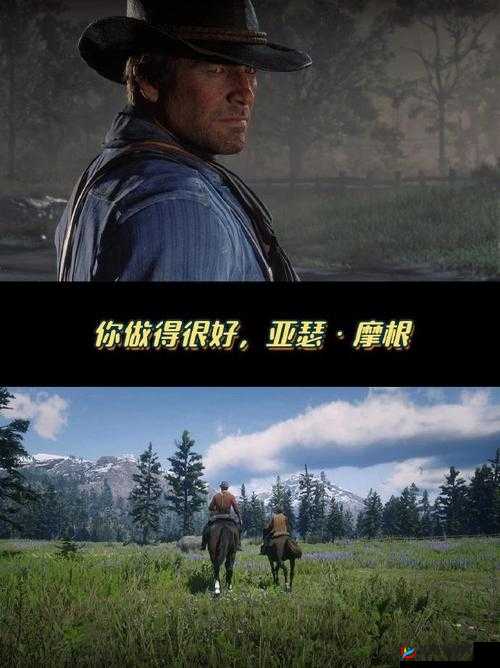 老年镖客 2023 年精彩视频回顾