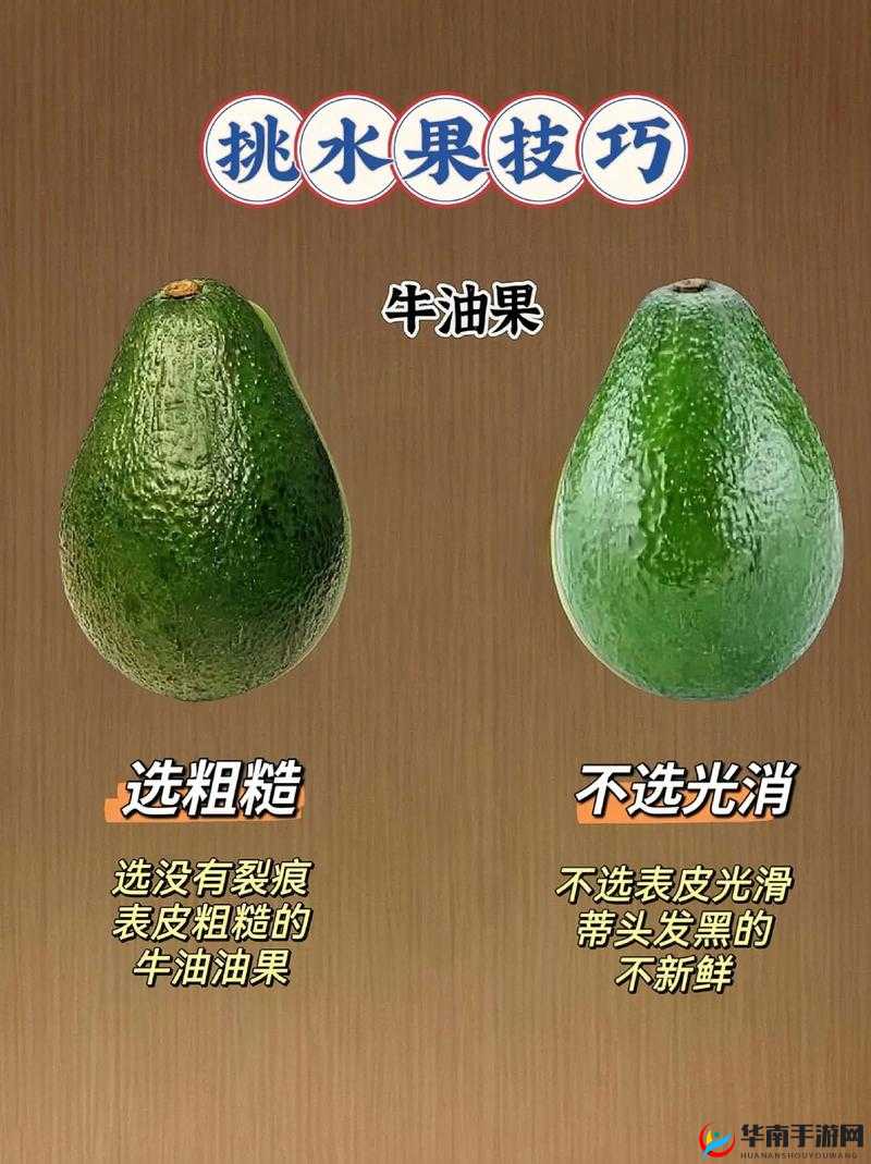 芭乐丝瓜黄瓜绿榴莲最新版：水果的奇妙世界