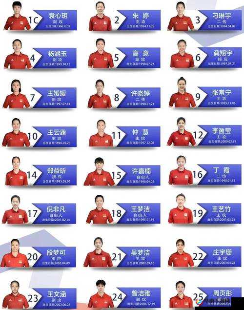 深度解析：圣树唤歌巅峰强者云集，最强国家队阵容推荐攻略解析