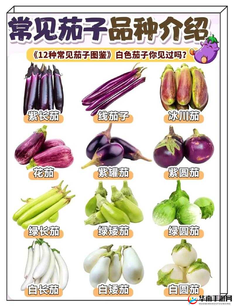 富二代 f2 抖音 app 茄子的精彩日常