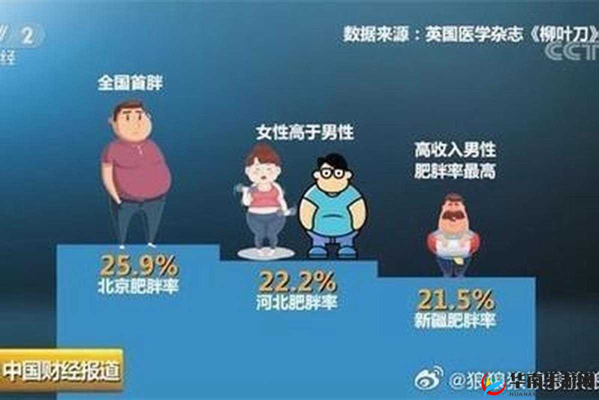 中国大肥胖 VPSWINDOWS：探索其独特之处