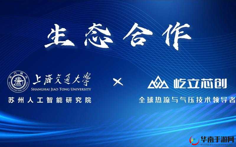 欧洲 ZoomOneBusiness：创新与合作的典范