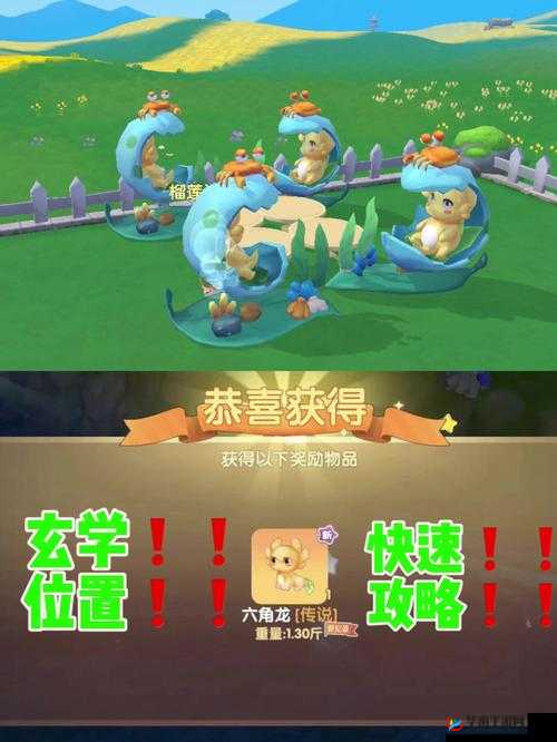 摩尔庄园：角龙飘飘窝获取指南