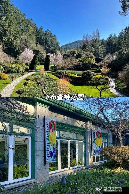 大手往哪秘密花园探去寓意何在：探寻背后深意