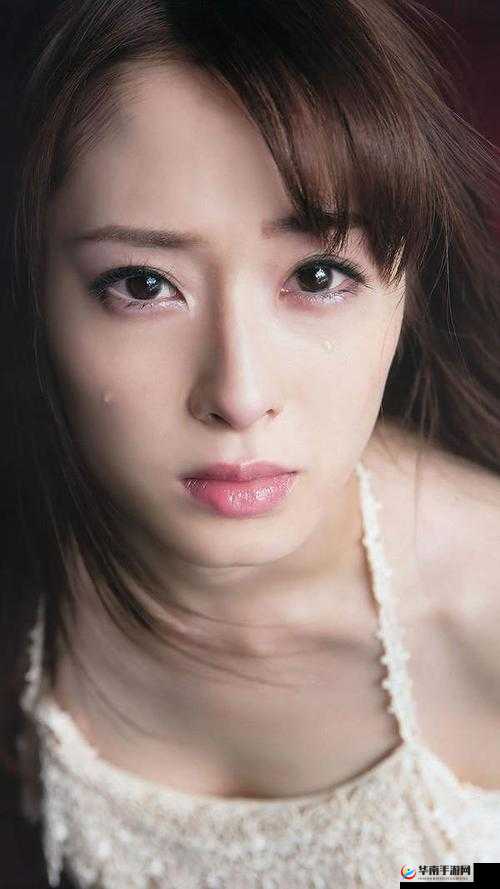 国产精品无码：珍藏之选，极致享受