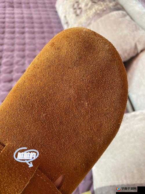 aaaa 级毛皮最火的一句不再限制出入：毛皮市场持续升温