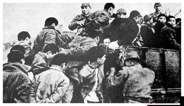 1213 岁 macbook 日本：不久后将被封禁？