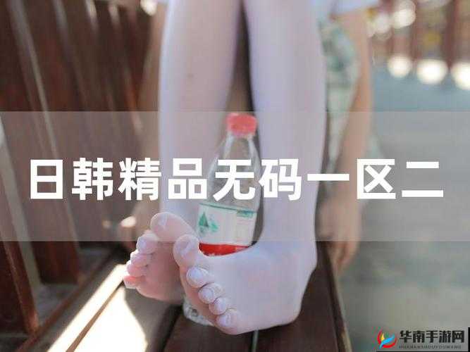 无尺码精品产品日韩在线观看：日韩精品，无尺码之选