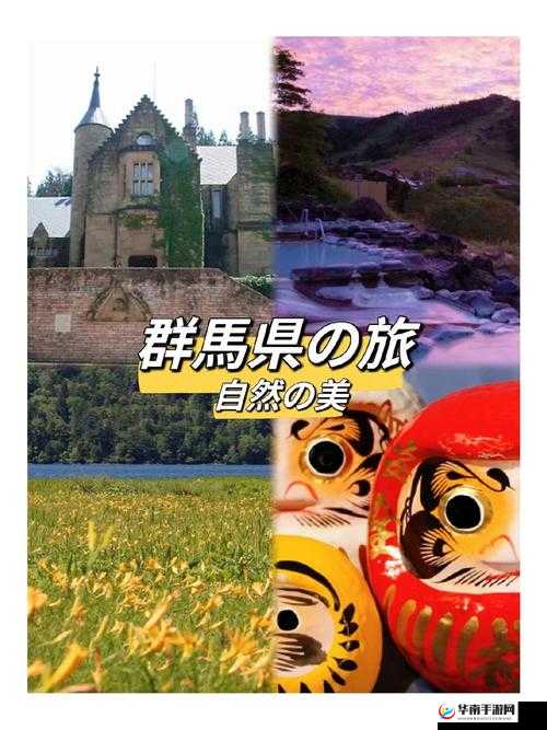 日本大但人文艺术第二组的独特魅力