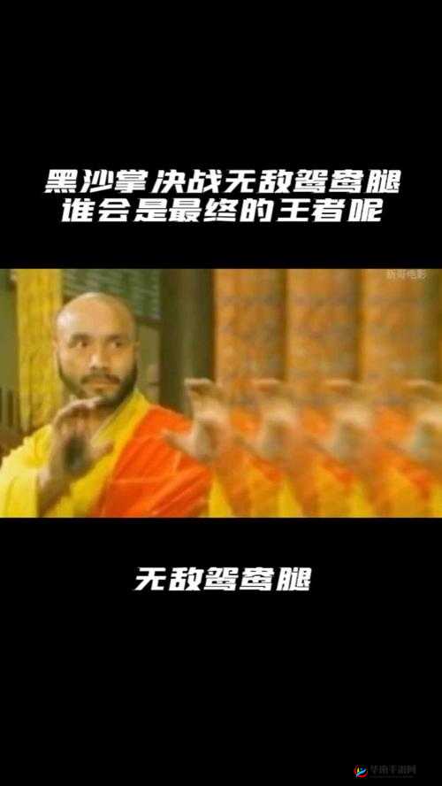 独家解析：街霸对决白虎战魂全方位获取方法攻略，网打尽助力无敌决战