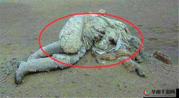 91无人区码一二三四区别在哪：深入探究其差异