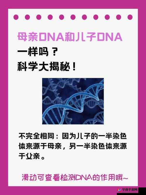 DNA 相同：母子关系的奥秘