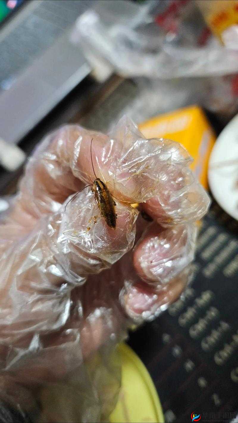 向日葵草莓香蕉榴莲鸭脖大全之美味集合