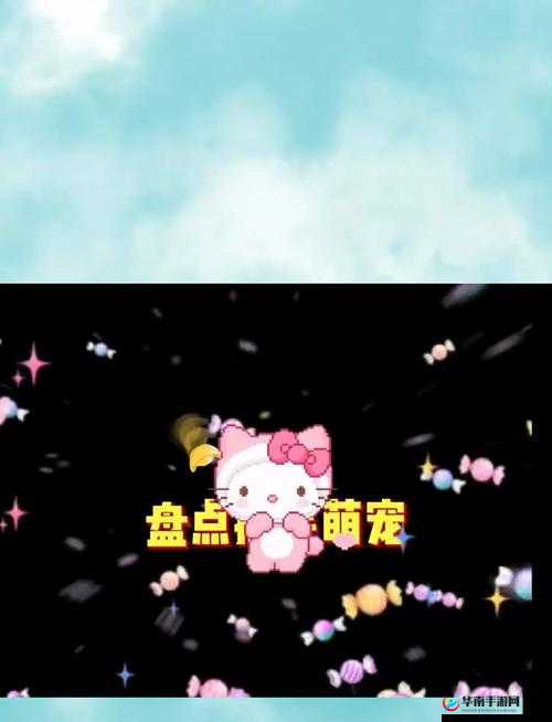 他的乖乖 POP ：一只萌宠的欢乐时光