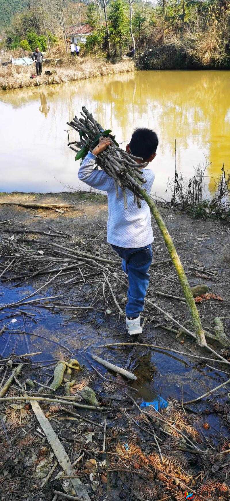 乡村傻子一杆枪闯天下：别样传奇之旅