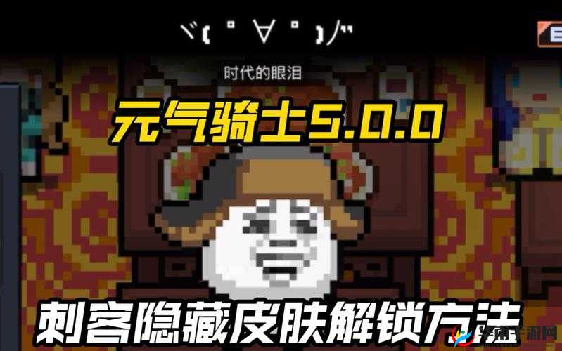 元气骑士刺客银藏联动皮肤：银影流觞