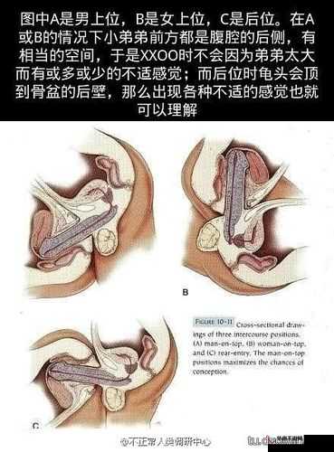 为什么都是 B 感觉却不一样